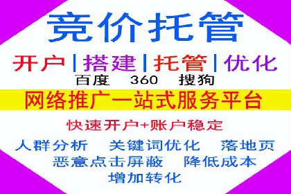 成功案例：网络推广与竞价广告的完美结合